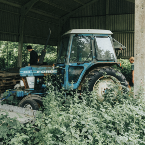 girls on farm